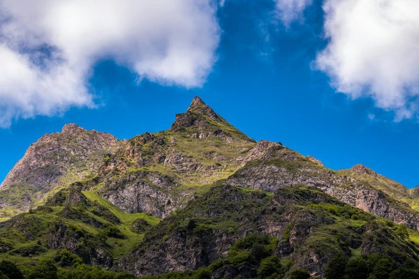 Où pratiquer le snorkeling au milieu des raies manta à Hawaii ?